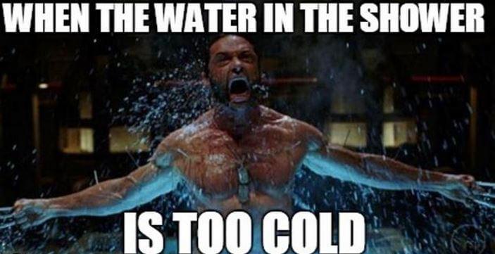 wolverine is