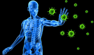 factors about human immune system gamblers should know